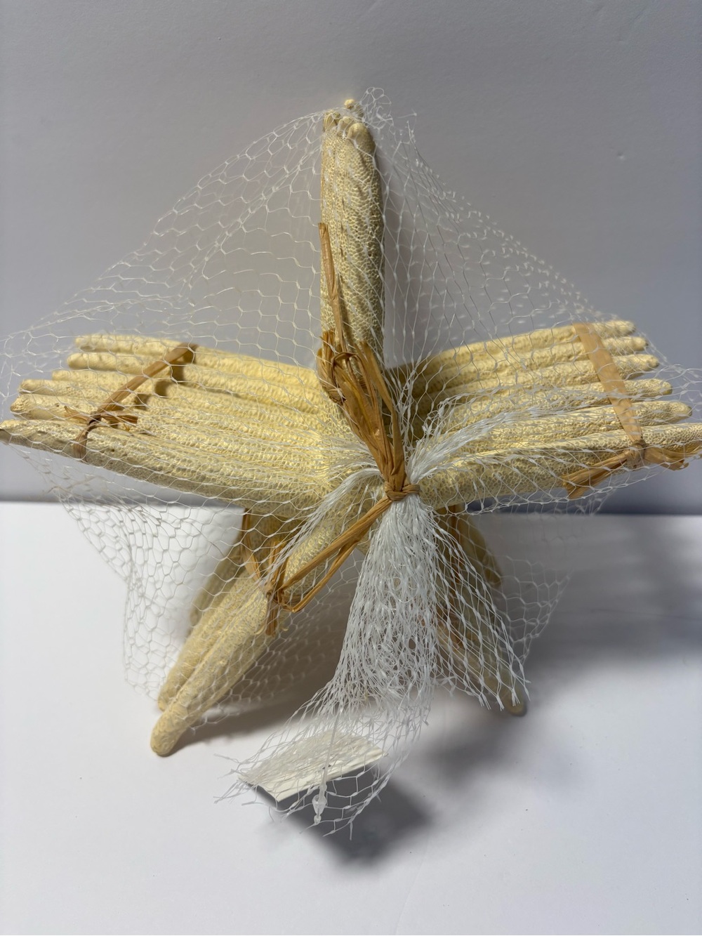 6 Decorative Star fish